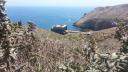 Berlengas