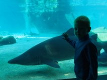 uShaka Marine World